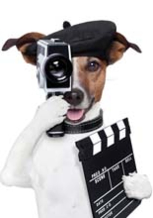 Product picture Dog Training Software with Plr