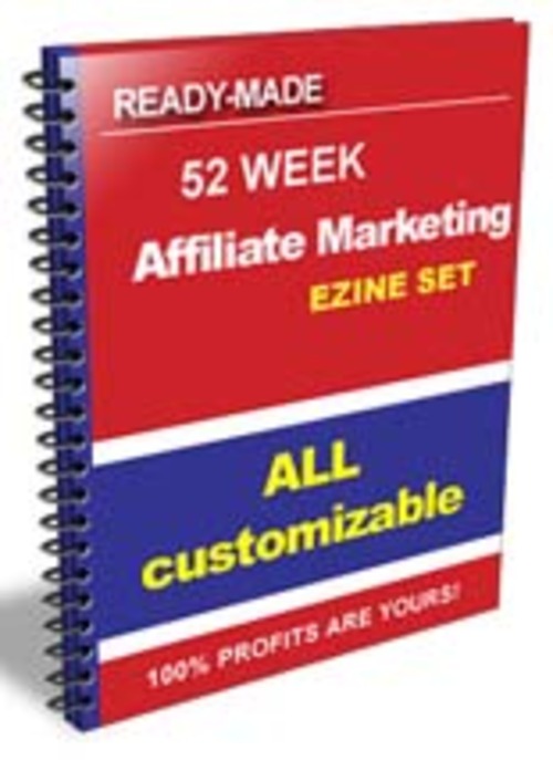 Product picture Affiliate Marketing Ecourse with Plr