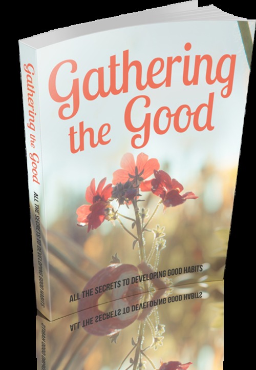 Product picture Gathering the Good with mrr + salespage